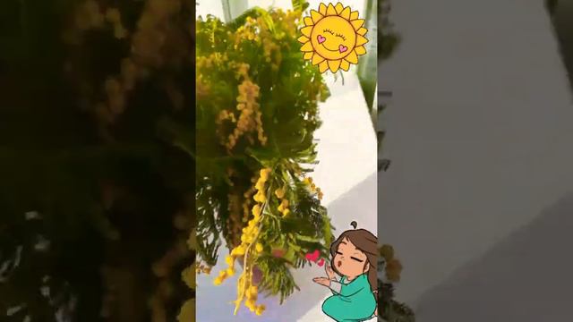 А у вас остался букет с 8Марта? 😄Моя мимоза... ❤️🤦♀️ смотреть онлайн