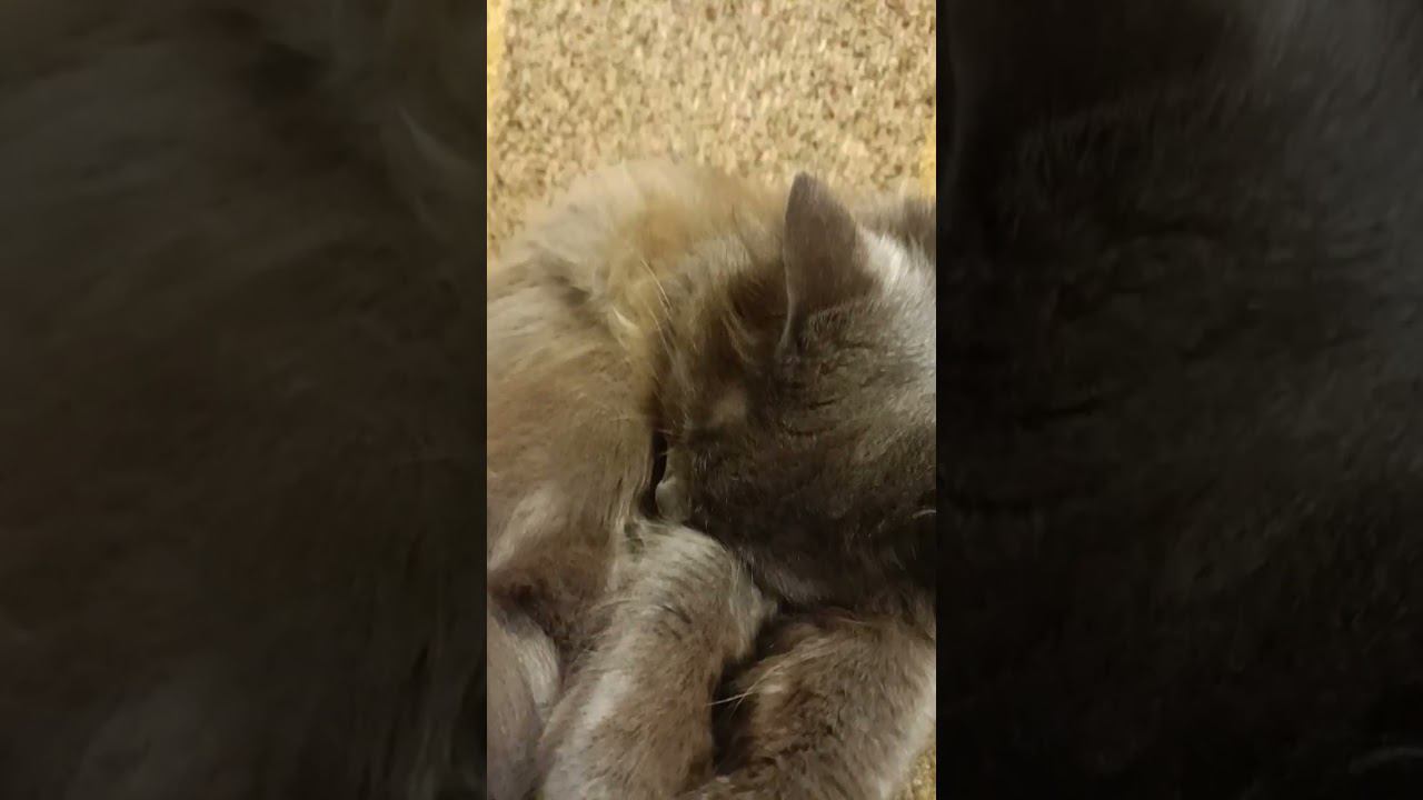 22 сентября 2023 г. смотреть онлайн