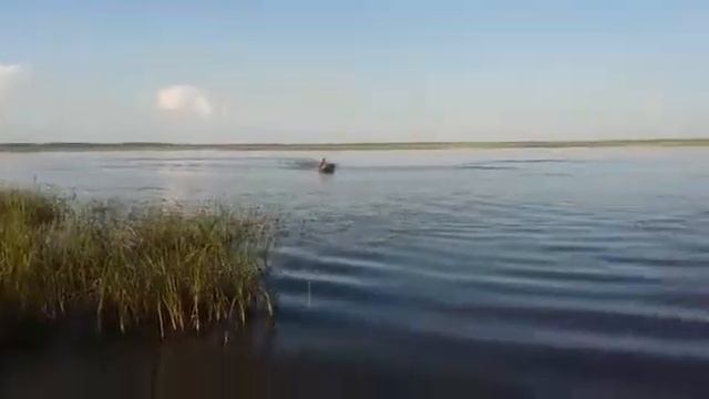 HDX 5 смотреть онлайн