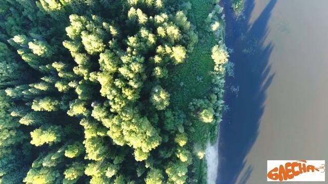 места для рыбалки и отдыха на северном Урале.. река Лозьва. Ивдельский район. смотреть онлайн