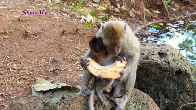c.rying ? loudly tiny baby call mom where is your mom coming to help baby soon? смотреть онлайн
