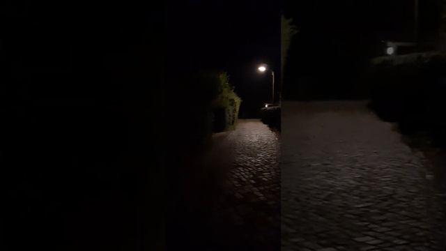 Психология: Безопасность - базовая психологическая потребность смотреть онлайн