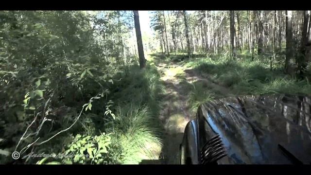 Майка. Хантер. Дизель. Зов Природы. часть  #1. смотреть онлайн