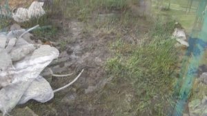 Дренаж на даче. Отводим воду через дорогу. Drainage in the country. We divert water across the road