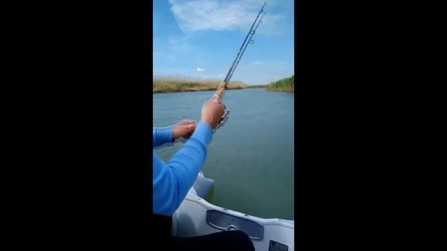 Маныч , рыбалка на Маныче, май 2017 смотреть онлайн
