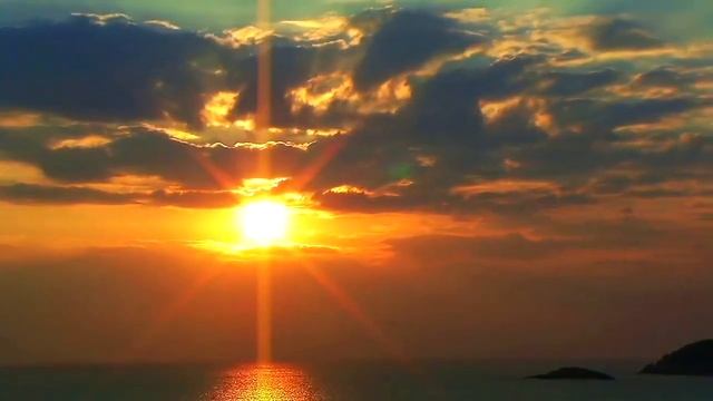 Лесная царевна смотреть онлайн