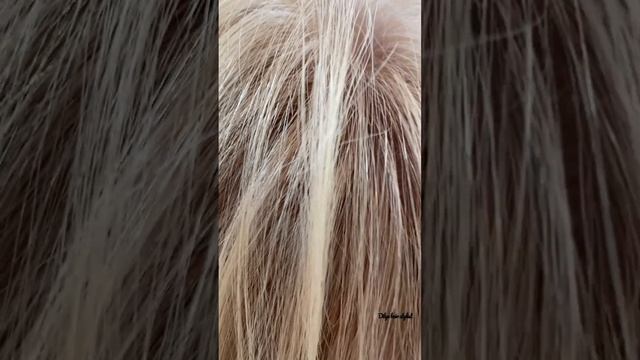 ОКРАШИВАНИЕ ВОЛОС ТЁПЛЫЙ ОТТЕНОК?? #блонд #бежевый смотреть онлайн