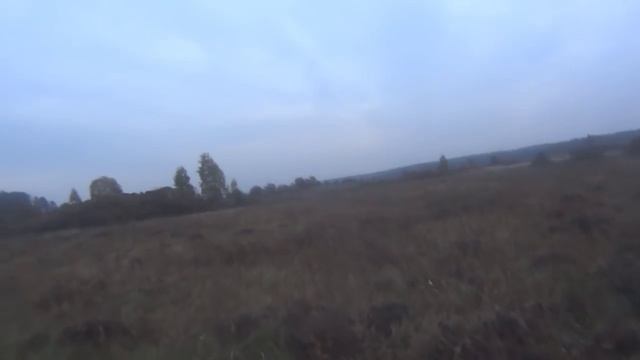 охота с русской пегой гончей Дунай почему я люблю охотиться один смотреть онлайн