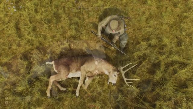 5 STAR MATURE TROPHY WHITETAIL BUCK IN WAY OF THE HUNTER EARLY ACCESS! MY FIRST TROPHY IN WOTH! смотреть онлайн