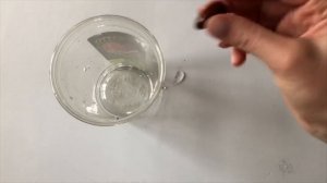 Как вырастить, прорастить личи из косточки в домашних условиях