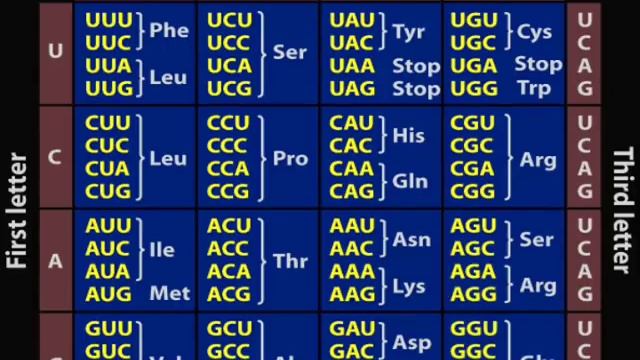 528Hz DNA Love Frequency - UNLOCK Your Codons!!! #528hz #binaural #meditation смотреть онлайн