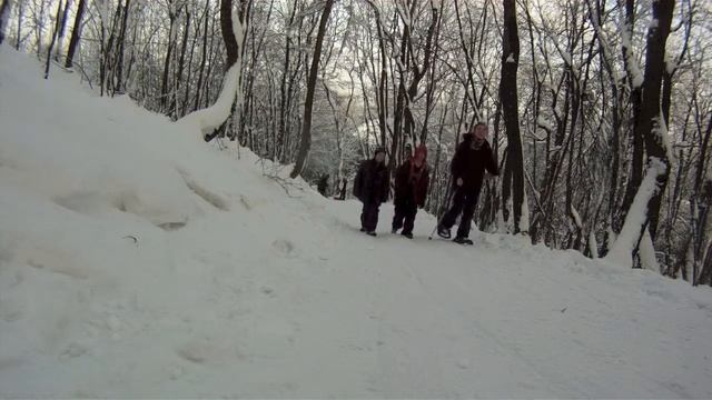 Schneeschuhwandern Perchtoldsdorf смотреть онлайн