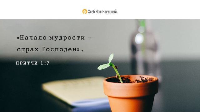Готовность учиться | Ежедневное христианское чтение | 12 июля 2022 смотреть онлайн