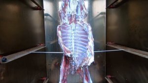 Мясо Дикого Кабана Горячего Копчения