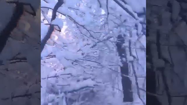 Зимний сад смотреть онлайн