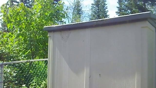 How to terminate hornets and wasps - part 2 смотреть онлайн