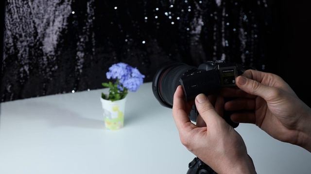 Canon R5 / R6 - Testing out Shutter Limitations| Heres how to get the full 12 FPS смотреть онлайн