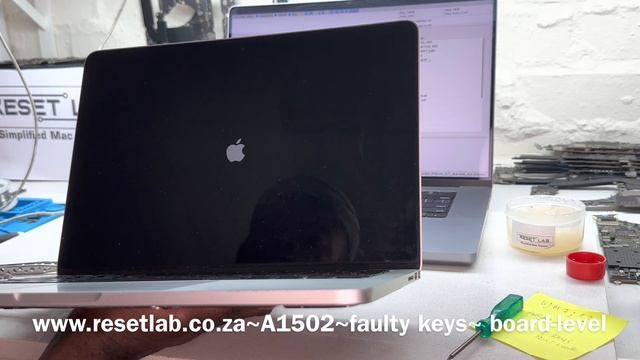 MacBook Pro A1708 Some Keys Not Working