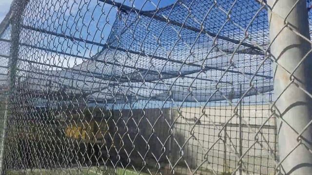 Somehow these doves got stuck in the batting practice cage. смотреть онлайн