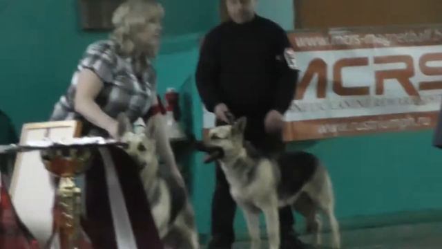 Моно Вео ранга ПК Армавир смотреть онлайн