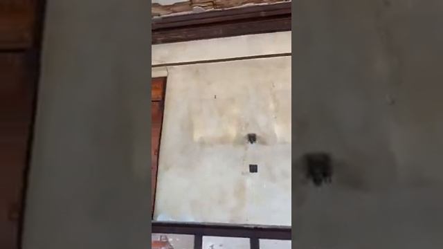 Abandoned Masonic Temple Tour | Historical Light