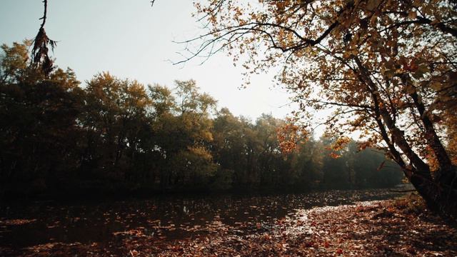 RELAXING MUSIC - Feche os olhos e relaxe #13 смотреть онлайн