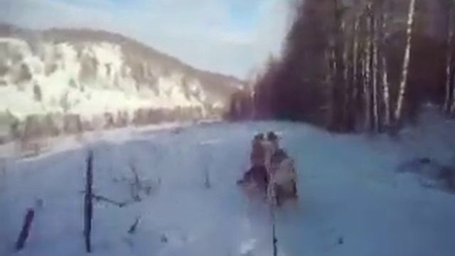 SAM 1181 смотреть онлайн