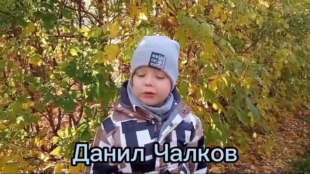 Павловский тракт (старшая группа). Стихи смотреть онлайн
