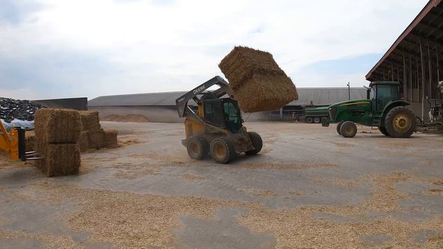 Which One Did We Buy??