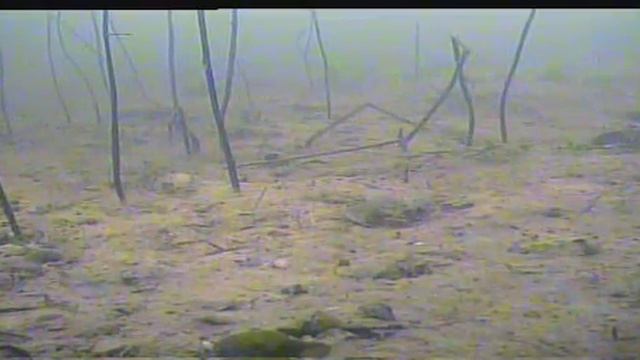 Ловля окуня зимой!!!Подводная съемка р Волга смотреть онлайн