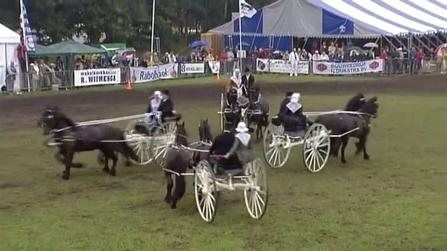 The Friesian Horse смотреть онлайн