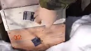 ответы на вопросы - расположение летков в улье и ранний облет пчел