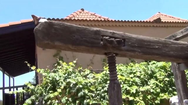 Канарские острова Тенерифе Море,отдых,экскурсии,редкие растения  Часть 3