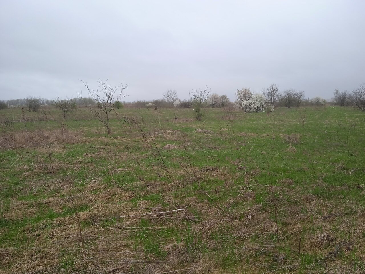 Участок в красивом месте на Юге России! смотреть онлайн