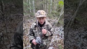 Как манить рябчика? Подробная инструкция.