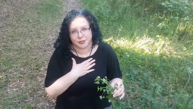 Let's Talk About Violets смотреть онлайн