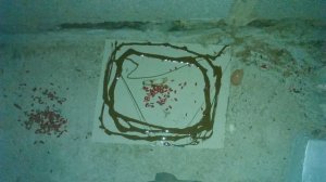 В эковате на чердаке завелись мыши.