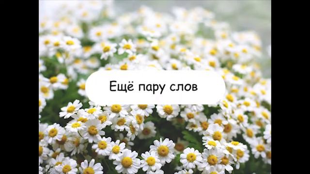 Про еду Часть 2 или Что ест веган? смотреть онлайн