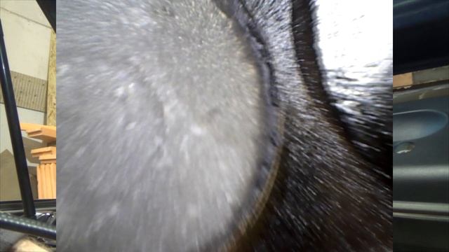 Тойота Камри 40 с пробегом 300 тысяч км! 2AZ-FE состояние двигателя. Видеоэндоскопия. смотреть онлайн