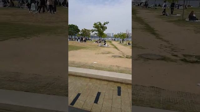 отдыхающие на берегу реки Ханган смотреть онлайн