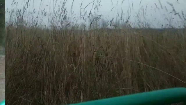 Багги 125 кубов go kart смотреть онлайн