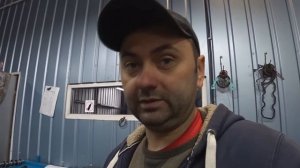 Пассат Б6 Заміна цепу ГРМ.
