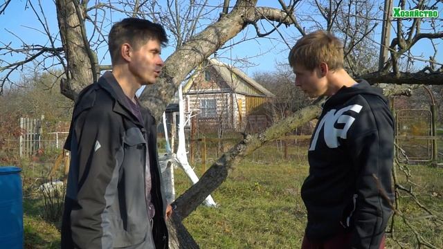 Побелка деревьев осенью: красота, вред или необходимость? Личный опыт и наблюдения! смотреть онлайн