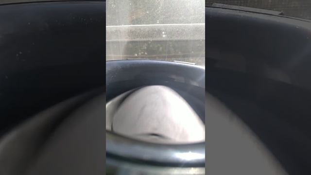 бас тест свен смотреть онлайн