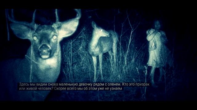 аокигахара легенды смотреть онлайн
