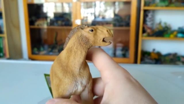 Moropus Deluxe CollectA Escala 1:20 - Review Completo смотреть онлайн