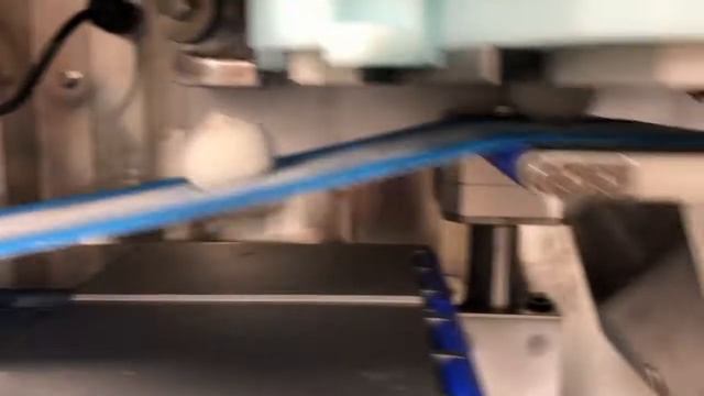 Xiaolongbao/Soup Dumpling