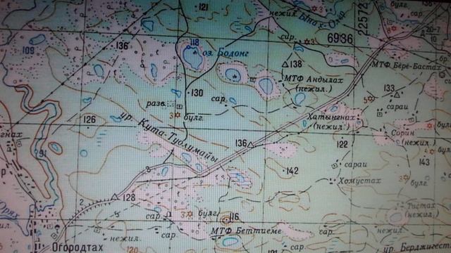 Лесные тайны и магия природы