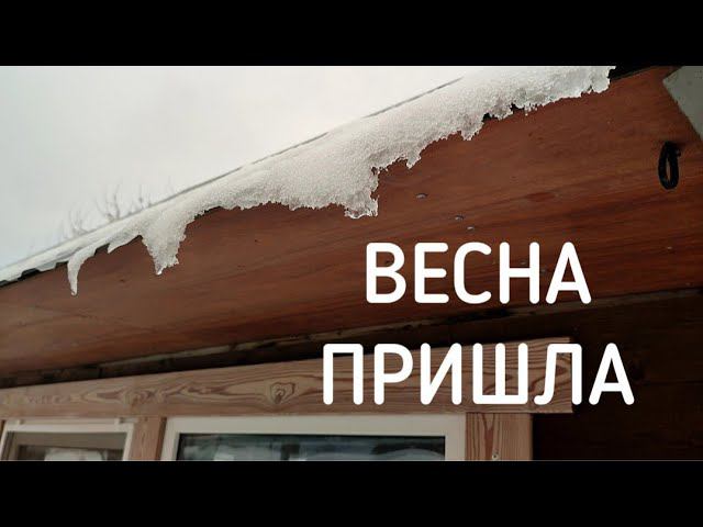 Открываем курятник, после зимней консервации. смотреть онлайн