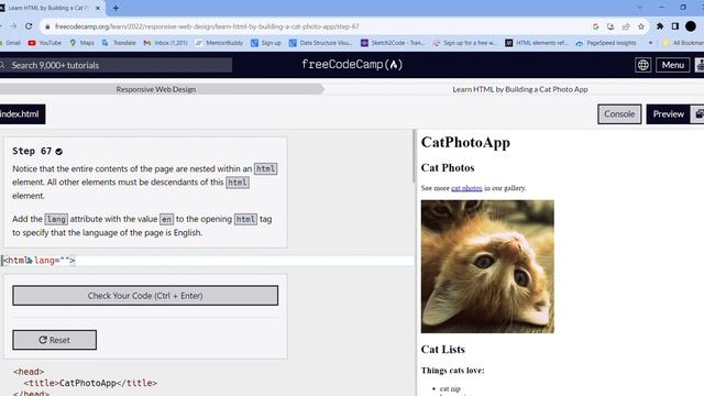 Learn HTML by Building a Cat Photo App Step - 67 || freeCodeCamp смотреть онлайн